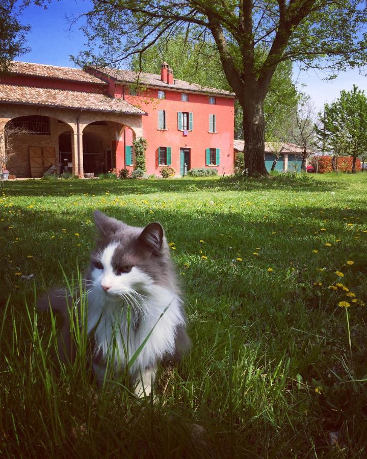 B&B Podere Merlo Parma Kültér fotó